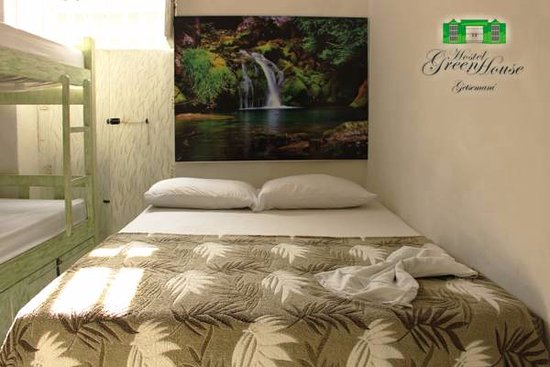 Green House Hostel